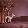The Mammal Show