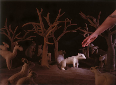 The Mammal Show