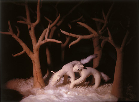 The Mammal Show